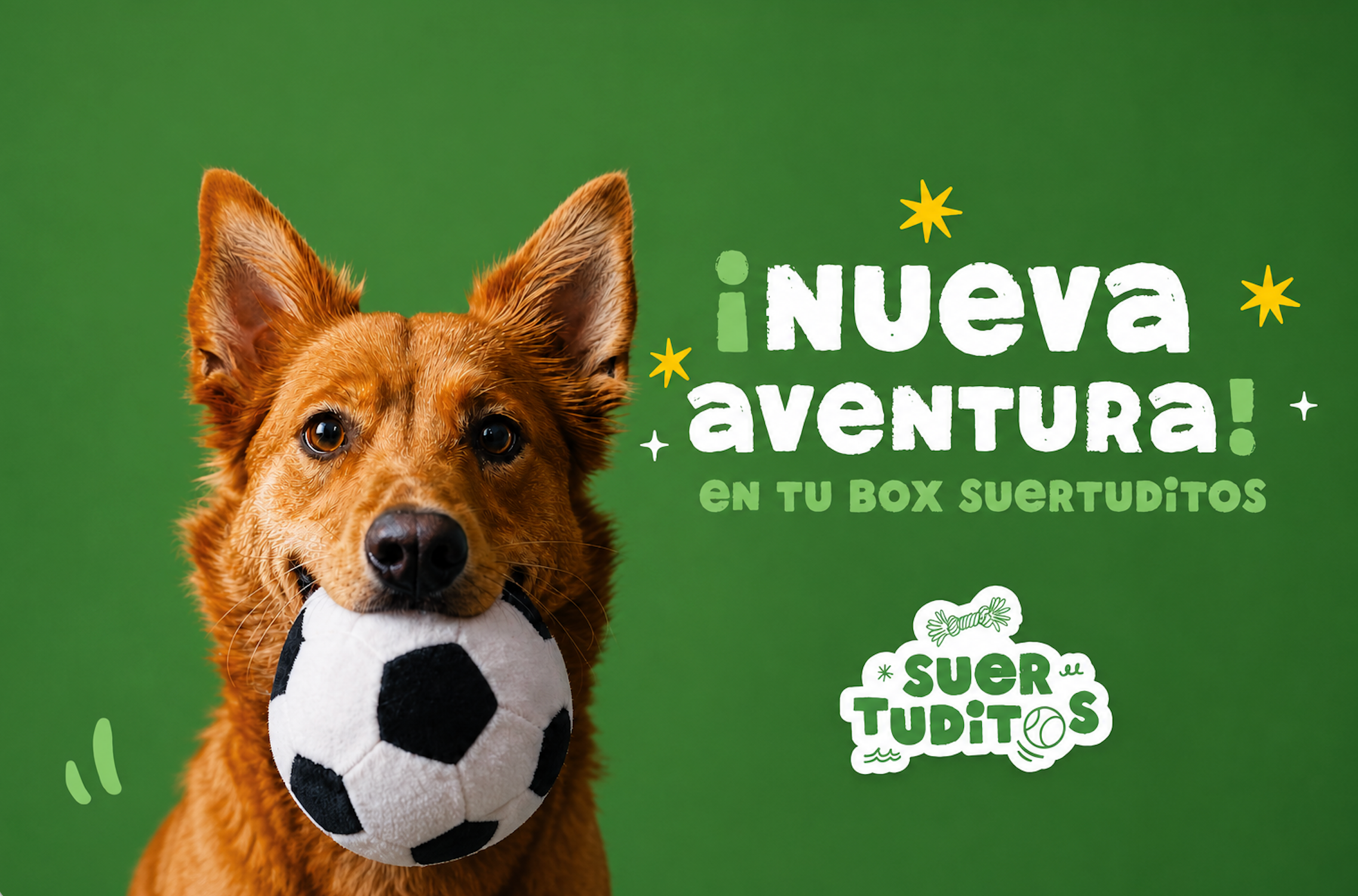 Suertuditos BOX
